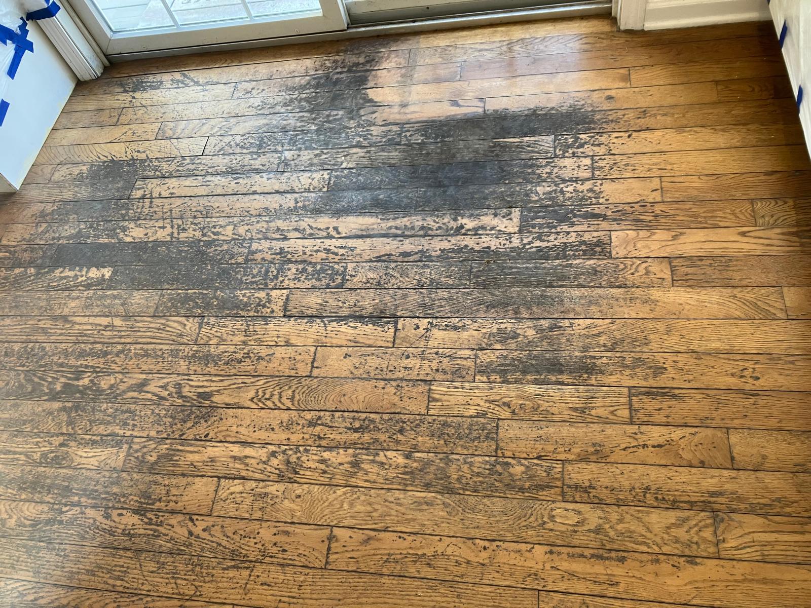 Hardwood floor before restoration - project 1